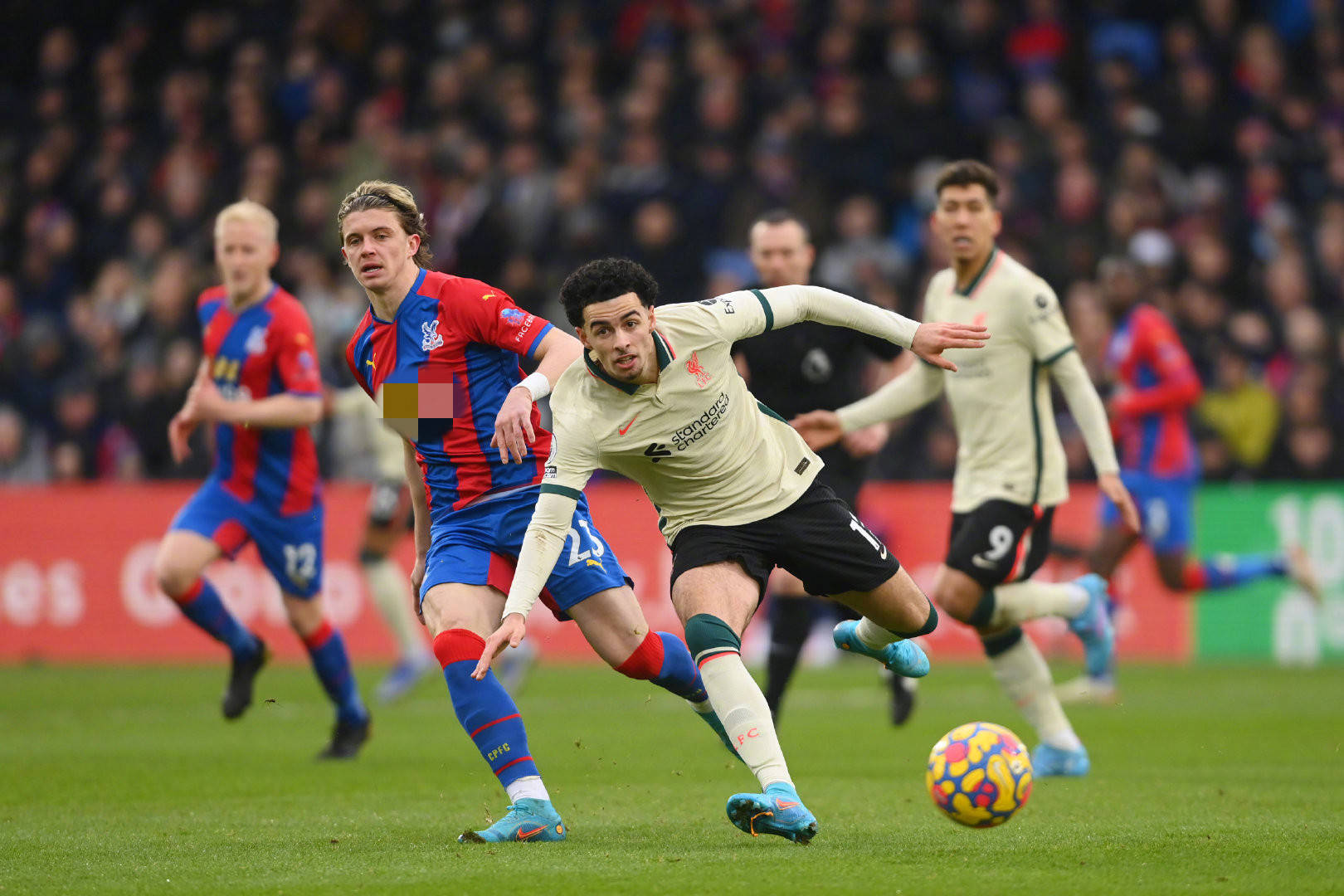 个有血有肉 个有血有肉